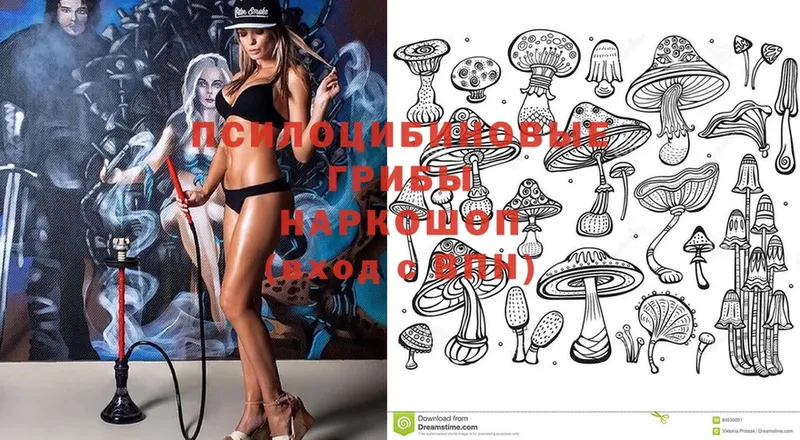 Галлюциногенные грибы Cubensis  наркотики  блэк спрут   Арамиль 